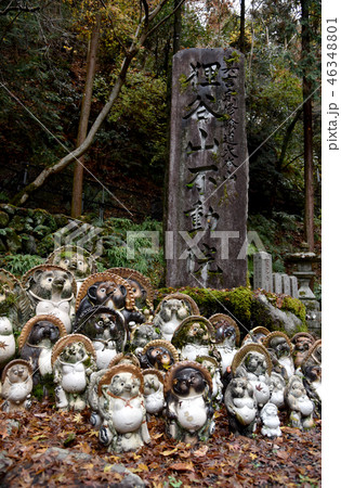 狸谷山不動院　入口 46348801