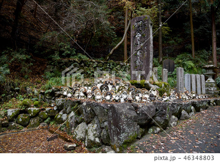 狸谷山不動院　入口 46348803