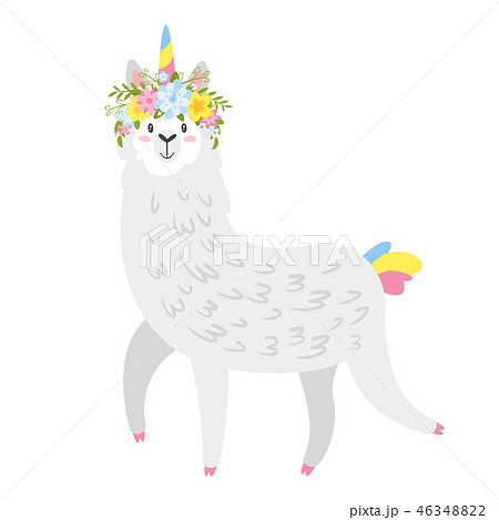 Cute lama. Alpaca animal 46348822