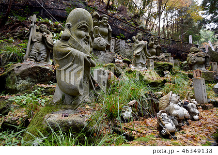 狸谷山不動院 参道 狸谷山不動院 参道 46349138