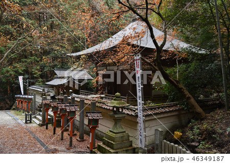 狸谷山不動院　光明殿 46349187