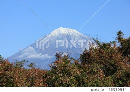 秋の富士山 46350914