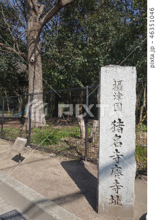 猪名寺廃寺址 猪名寺廃寺址 46351046
