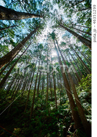 熊野古道_発心門王子から熊野本宮大社コース_No1 46351299