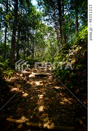 熊野古道_発心門王子から熊野本宮大社コース_No3 46351315