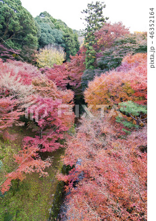 京都　東福寺　三聖寺愛染堂 46352164