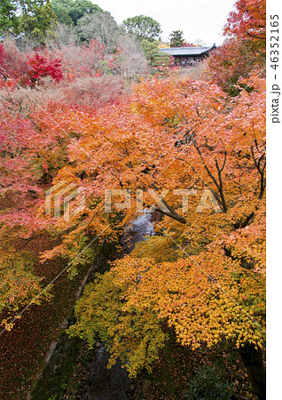京都　東福寺　三聖寺愛染堂 46352165