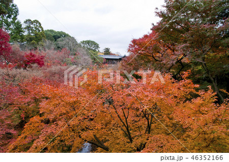 京都 東福寺 三聖寺愛染堂 京都 東福寺 三聖寺愛染堂 46352166