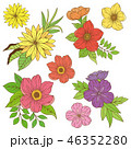 花柄イラスト素材 46352280