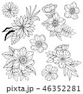 花柄イラスト素材 46352281