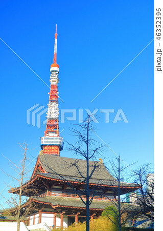 晴天下の増上寺と東京タワー 晴天下の増上寺と東京タワー 46352396