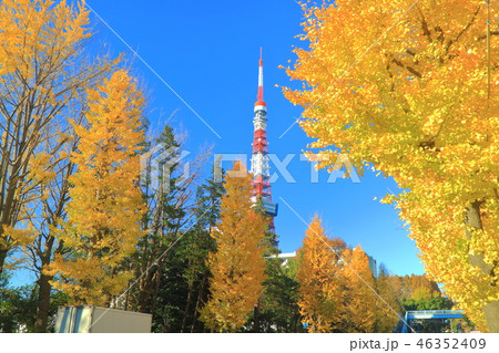 晴天下の東京タワーと紅葉 晴天下の東京タワーと紅葉 46352409