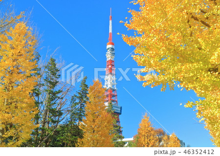 晴天下の東京タワーと紅葉 46352412