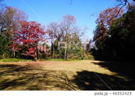 片倉城跡公園　本丸広場 46352423