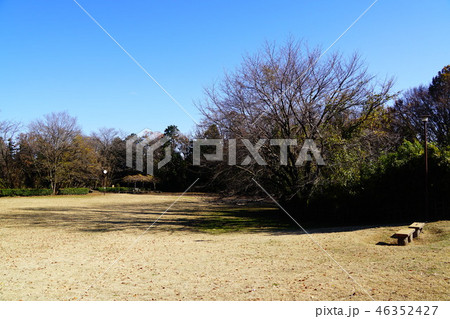 片倉城跡公園 二の丸広場 片倉城跡公園 二の丸広場 46352427