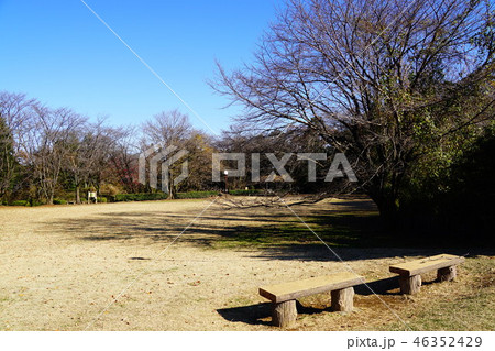 片倉城跡公園 二の丸広場 片倉城跡公園 二の丸広場 46352429