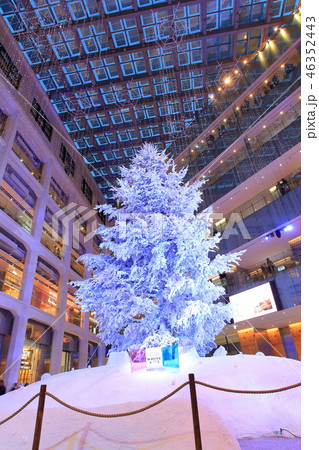 WHITE　KITTEのクリスマスツリー 46352443