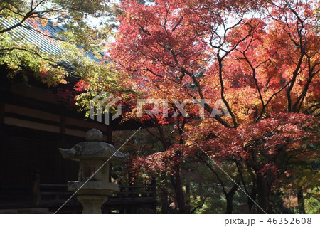 寺と紅葉 46352608