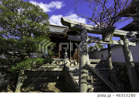 倉敷　観龍寺　妙見堂 46353280