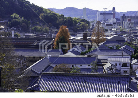 倉敷 美観地区 アイビースクエアと倉敷市役所 倉敷 美観地区 アイビースクエアと倉敷市役所 46353563