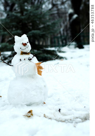 Snowman with autumn leaves 46353788