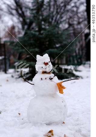 Snowman with autumn leaves 46353790