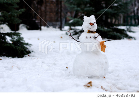Snowman with autumn leaves 46353792