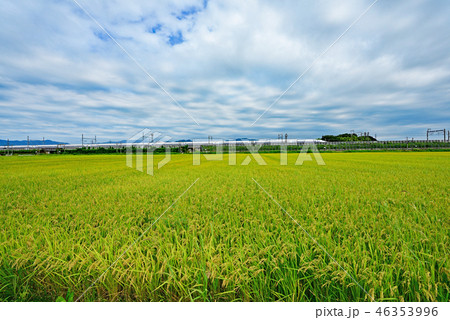街風景 中山道 愛知川宿 街風景 中山道 愛知川宿 46353996