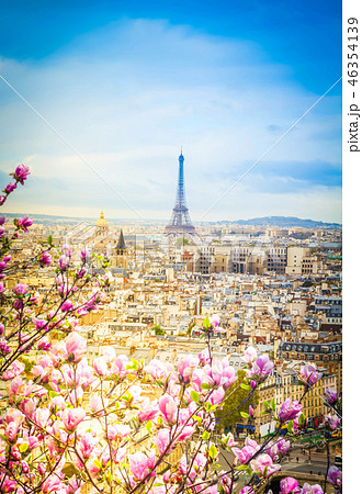 skyline of Paris with eiffel tower skyline of Paris with eiffel tower 46354139