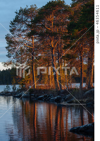Trees and their reflection in the lake in the light of sunset. Landscape of the Russian North Trees and their reflection in the lake in the light of sunset. Landscape of the Russian North 46354611