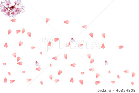 桜吹雪 46354808