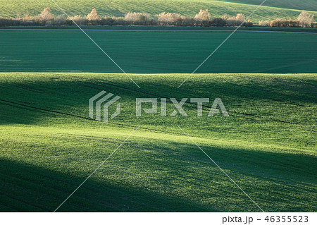 Minimalistic landscape with waves hills Minimalistic landscape with waves hills 46355523