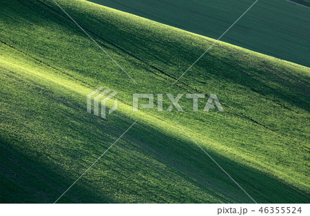 Minimalistic landscape with waves hills 46355524