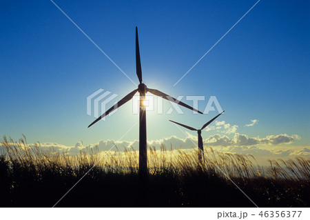 光と陰とプロペラ 46356377