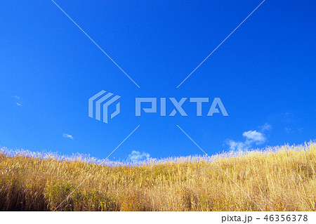 草原と青き空 46356378