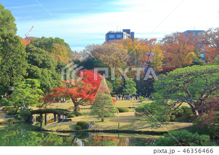 紅葉の六義園 46356466