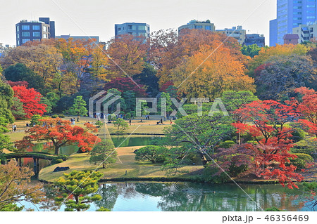 紅葉の六義園 46356469