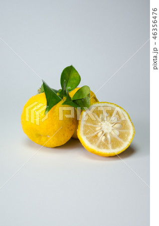 柚子 柚子 46356476