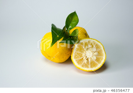 柚子 46356477