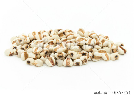 ハトムギ : Job's tears 46357251