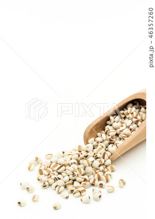 ハトムギ : Job's tears 46357260