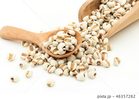 ハトムギ : Job's tears 46357262