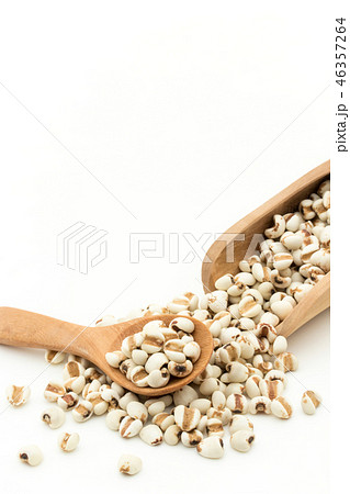 ハトムギ : Job's tears 46357264