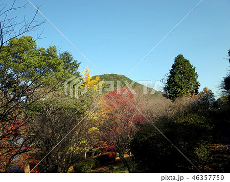 秋の藺牟田公園(藺牟田池） 46357759