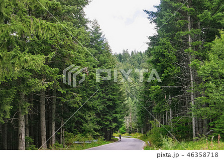 Road through Rila mountain in Bulgaria Road through Rila mountain in Bulgaria 46358718