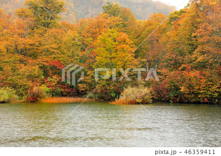 鎌池の紅葉10 46359411