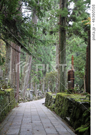 高野山奥之院参道 46360508