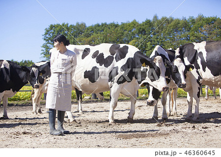 畜産農家の女性 46360645