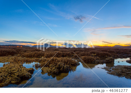 scenery sunrise above the coral reef in low tide scenery sunrise above the coral reef in low tide 46361277