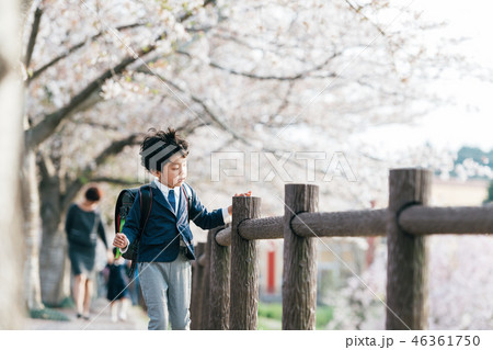 桜と子供　 46361750